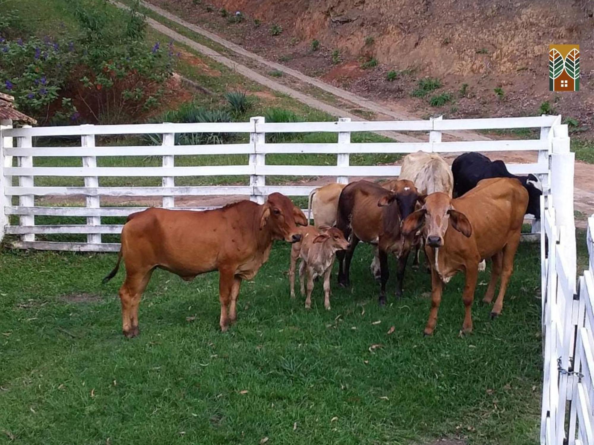 Chales Vinhas Da Harmonia L Pousada Em Cunha Sp Стая снимка